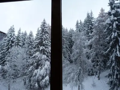 L'établissement Studio cosy à Arc 1800 pour 2 personnes - FR-1-411-999 en hiver