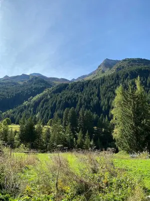 Paysage naturel près de l'appartement