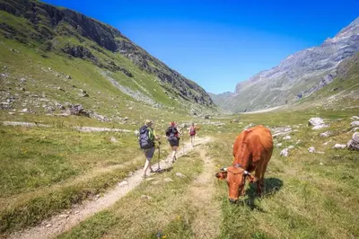 Animaux dans la maison de vacances ou à proximité