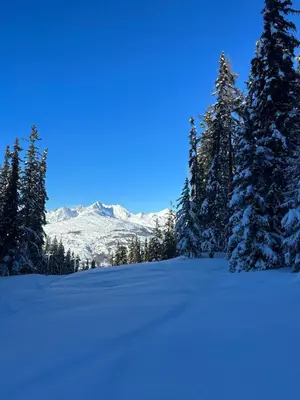 L'établissement Chalet Perle des Alpes en hiver