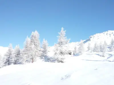 L'établissement Beau duplex 6 pers, Les Arcs 1800, animaux admis - FR-1-411-942 en hiver