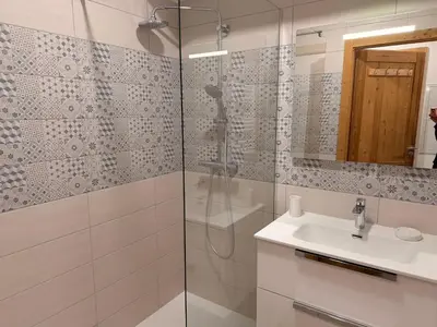 Salle de bains dans l'établissement Appartement cozy avec grande terrasse et casier à skis - FR-1-464-256