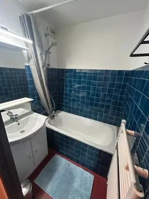 Salle de bains dans l'établissement Appartement cosy quartier Napoléon