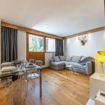 Appartement charmant avec wifi et terrasse sud - FR-1-694-436