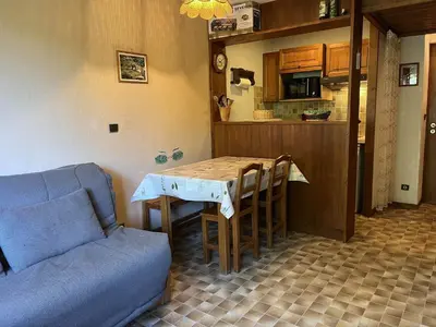 Cuisine ou kitchenette dans l'établissement Appartement 2 pièces avec accès piscine, près des pistes, 4 personnes max - FR-1-464-257