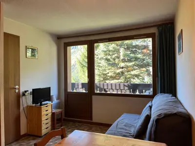 Télévision ou salle de divertissement dans l'établissement Appartement 2 pièces avec accès piscine, près des pistes, 4 personnes max - FR-1-464-257