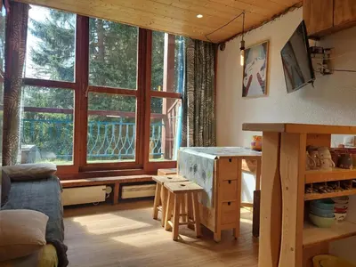 Coin salon dans l'établissement Studio mezzanine avec balcon, proche pistes, Wifi inclus - FR-1-346-591
