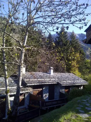 Paysage naturel près de le chalet