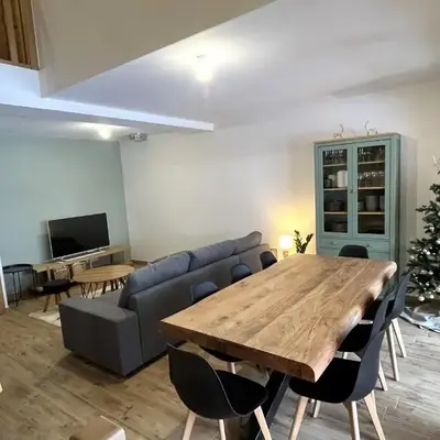 Duplex spacieux proche centre - Animaux admis - FR-1-464-259