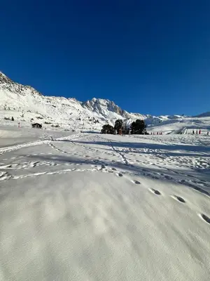 L'établissement Bel appartement ski aux pieds 5 personnes 2 chambres BELLE PLAGNE en hiver