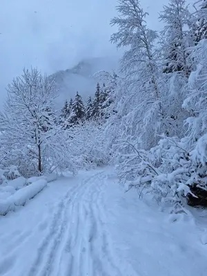 L'établissement Appartement 4 personnes proche des pistes de ski en hiver