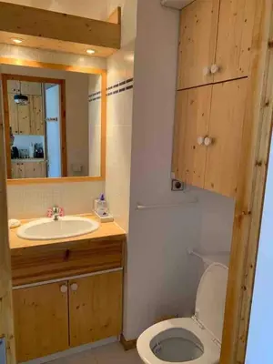 Salle de bains dans l'établissement Studio cabin for 2 adults and 2 childrens with private parking