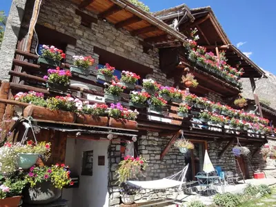 Jardin de l'établissement le petit coin montagne 4