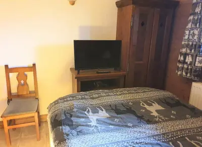 Télévision ou salle de divertissement dans l'établissement Premium Les Alpages de Chantel