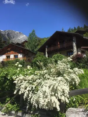 Paysage naturel près de le chalet