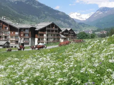 Paysage naturel près de le village vacances