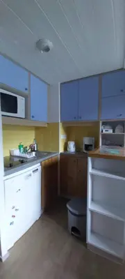 Cuisine ou kitchenette dans l'établissement Duplex Le Vogel