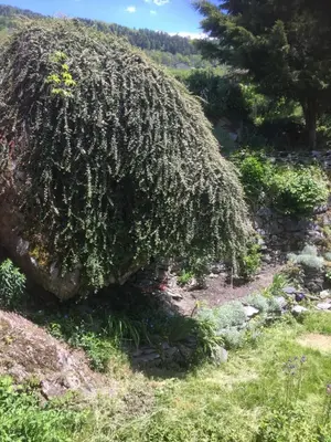 Paysage naturel près de l'appartement