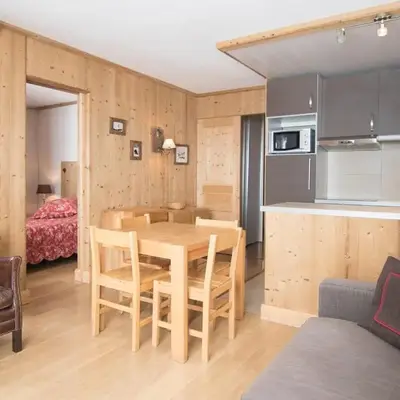 Appartement 2 pièces à 500m des pistes - WiFi inclus - FR-1-449-21