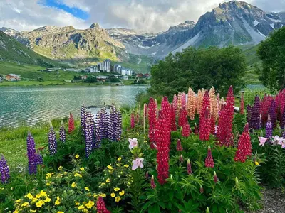 Paysage naturel près de l'appartement