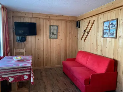 Télévision ou salle de divertissement dans l'établissement Studio 20 Les Grandes Platières