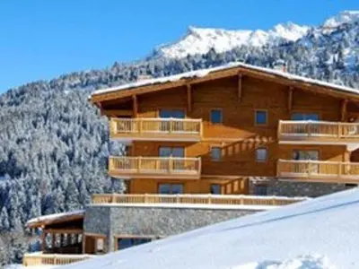 Vue générale sur la montagne ou vue sur la montagne depuis l'appartement