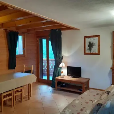 Agréable T2 Montagne Pralognan 4pers - FR-1-464-4