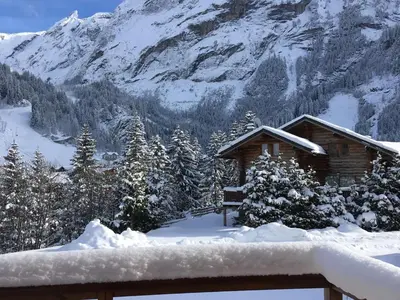 L'établissement Chalet haut de gamme pour 10 pers., proche pistes, parking privé - FR-1-464-7 en hiver
