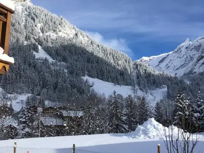 L'établissement Chalet avec terrasse et parking privé, proche téléphérique - FR-1-464-29 en hiver