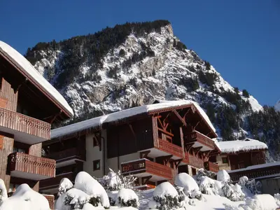 Vue générale sur la montagne ou vue sur la montagne depuis l'appartement