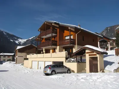 Vue générale sur la montagne ou vue sur la montagne depuis l'appartement