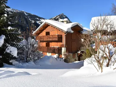 Vue générale sur la montagne ou vue sur la montagne depuis l'appartement