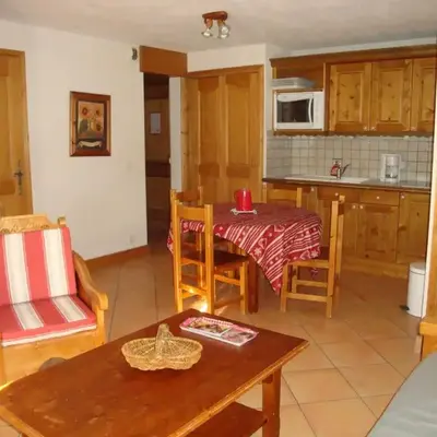 Charmant appartement montagnard proche des pistes - FR-1-464-120