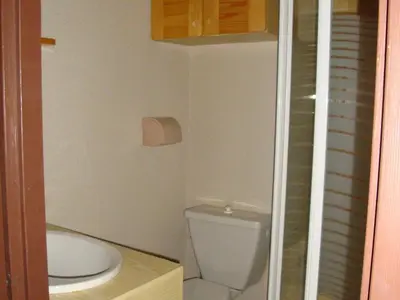 Salle de bains dans l'établissement Studio cosy centre, balcon sud, animaux et parking - FR-1-464-129