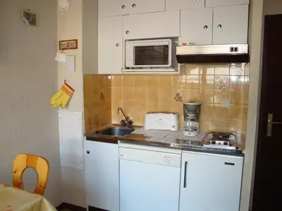 Cuisine ou kitchenette dans l'établissement Studio cosy centre, balcon sud, animaux et parking - FR-1-464-129