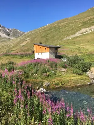 Paysage naturel près de le chalet