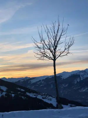 Paysage naturel près de l'appartement