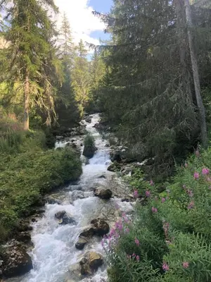 Paysage naturel près de l'appartement