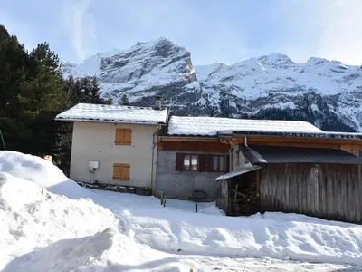 Vue générale sur la montagne ou vue sur la montagne depuis l'appartement