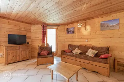 Télévision ou salle de divertissement dans l'établissement Le chalet d'Emile