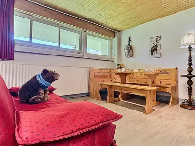 Animal ou animaux domestique(s) séjournant avec des clients dans l'établissement Tignes: Appartement cosy 4 pers, skis aux pieds, animaux admis - FR-1-411-149