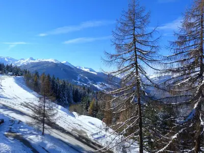 Paysage naturel près de l'appartement