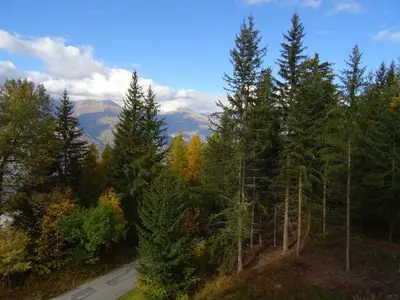 Paysage naturel près de l'appartement