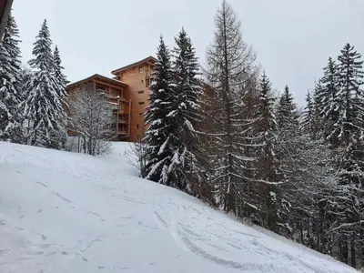L'établissement Appartement 2 pièces 6 pers, animaux admis, wifi, Les Arcs 1800 - FR-1-411-307 en hiver