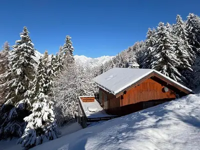 L'établissement Chalet 5 pièces Vallandry, 12 pers, animaux admis, parking, WiFi - FR-1-411-545 en hiver
