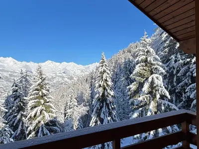 Vue générale sur la montagne ou vue sur la montagne depuis le chalet