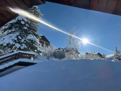 L'établissement Chalet 5 pièces Vallandry, 12 pers, animaux admis, parking, WiFi - FR-1-411-545 en hiver