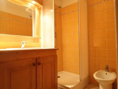 Salle de bains dans l'établissement Spacieux appartement 6 pers. au pied des pistes avec parking et WIFI - FR-1-508-129