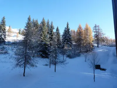 L'établissement Duplex 2 pièces pour 5 pers, proche pistes, Arc 1800, animaux admis - FR-1-411-286 en hiver