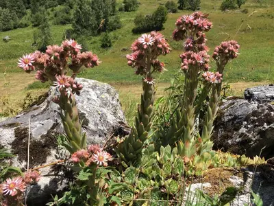 Paysage naturel près de l'appartement
